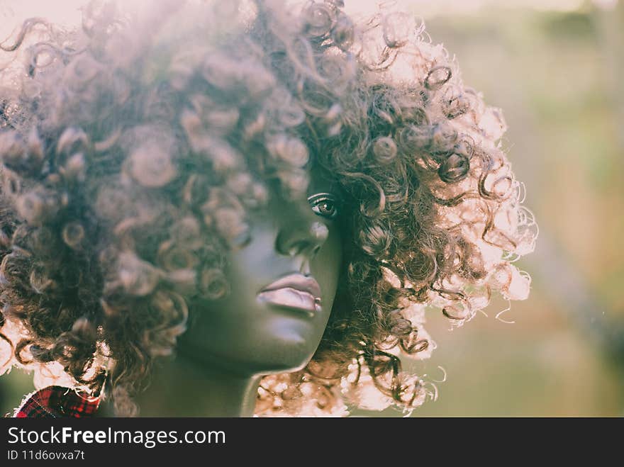 Black girl mannequin with curly hair wig.