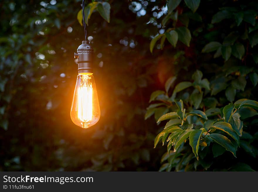 Creative idea concept - vintage incandescent bulb glow in the garden