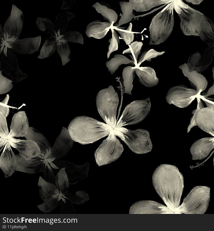 Black Tropical Illustration. White Seamless Botanical. Pattern Foliage. Flower Hibiscus. Wallpaper Illustration. Drawing Design.