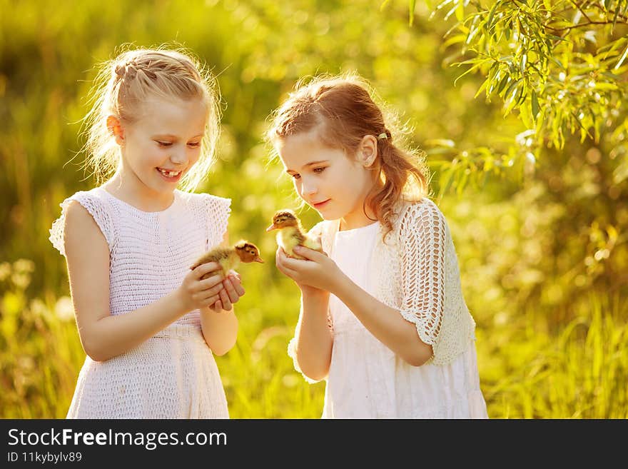 Two little girls at sunset with lovely ducklings. Springtime