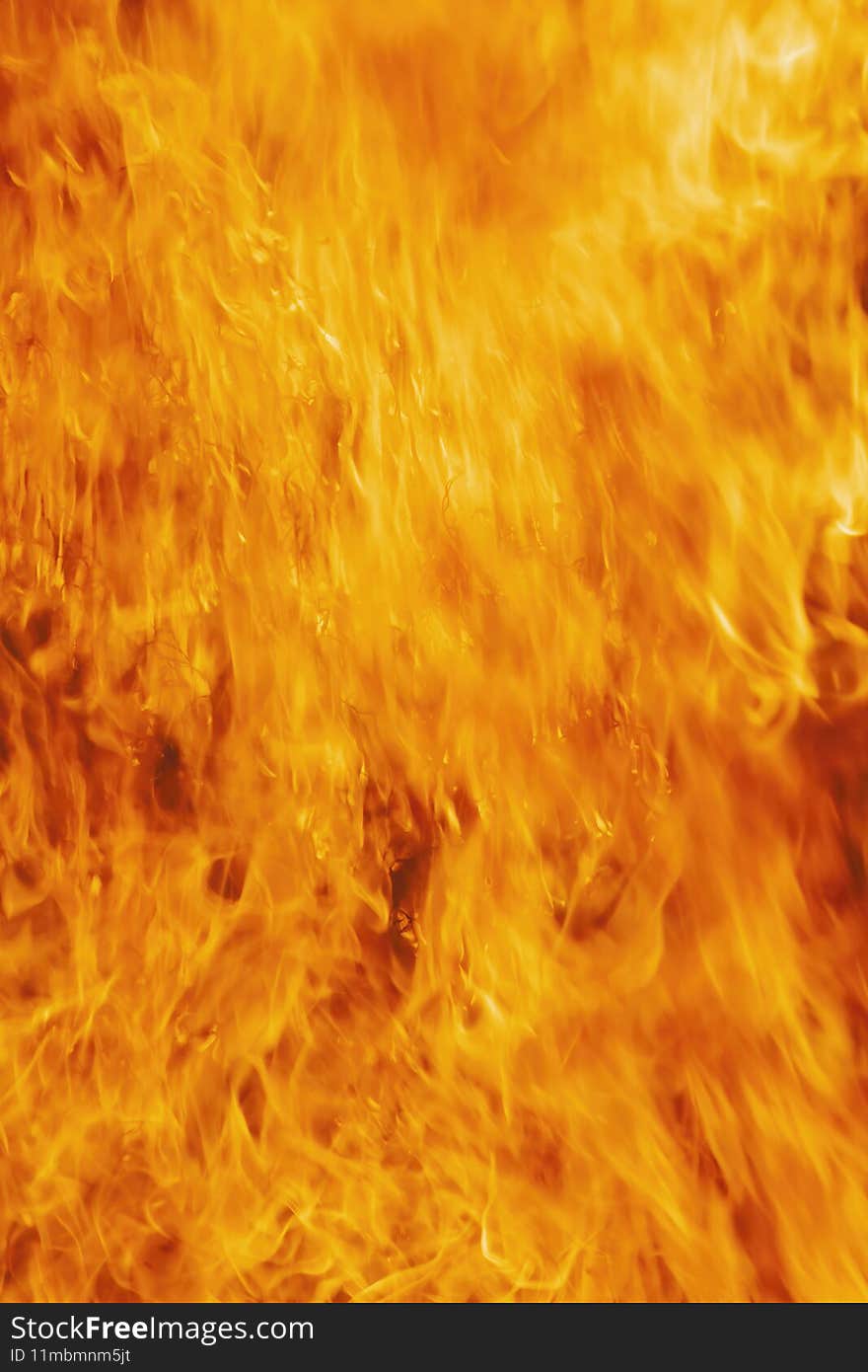 Flame of fire. Fire background. Texture.