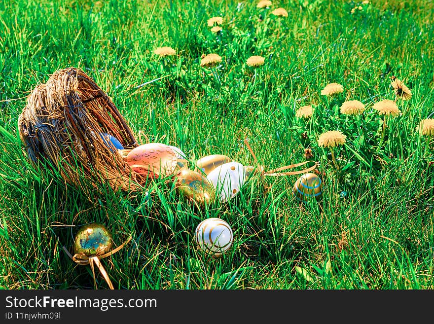 Easter basket eggs. Golden egg with yellow spring flowers in celebration basket on green grass background. Traditional decoration in sun light.