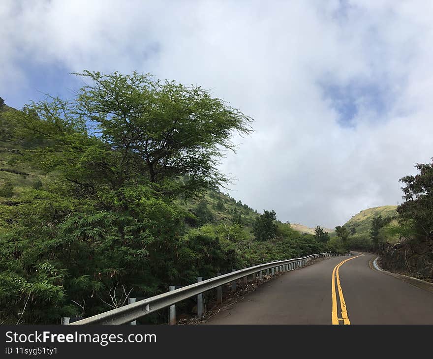 Spring in Waimea Canyon on Kauai Island, Hawaii.