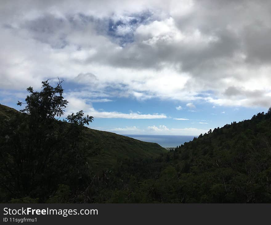 Spring in Waimea Canyon on Kauai Island in Hawaii.