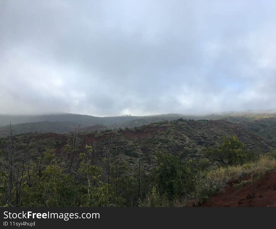 Spring in Waimea Canyon on Kauai Island, Hawaii.