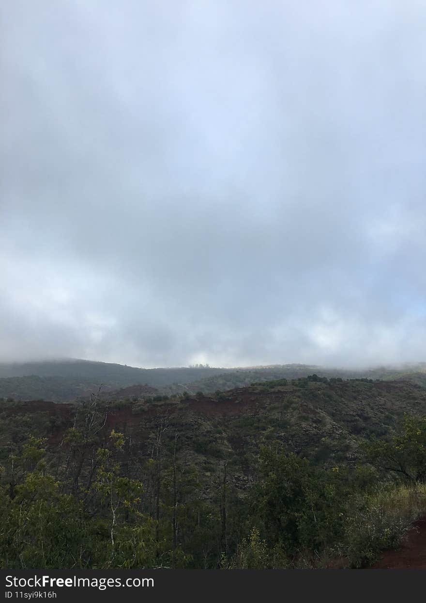 Spring in Waimea Canyon on Kauai Island in Hawaii.