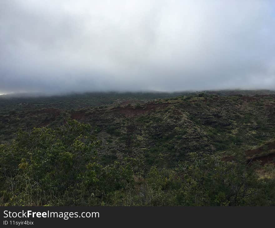 Spring in Waimea Canyon on Kauai Island in Hawaii.