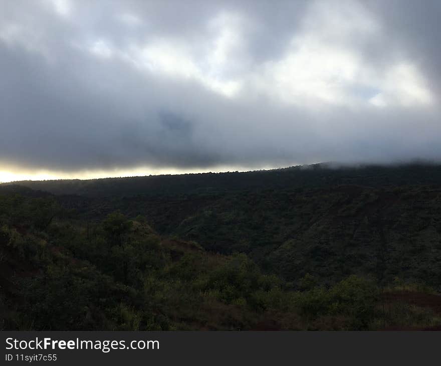 Spring in Waimea Canyon on Kauai Island in Hawaii.