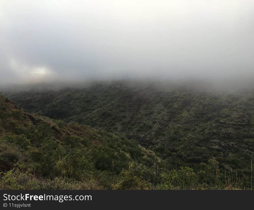 Spring in Waimea Canyon on Kauai Island, Hawaii.