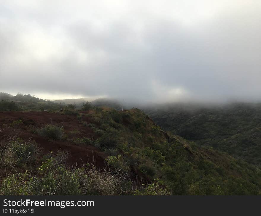 Spring in Waimea Canyon on Kauai Island in Hawaii.