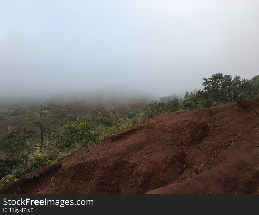 Spring in Waimea Canyon on Kauai Island in Hawaii.