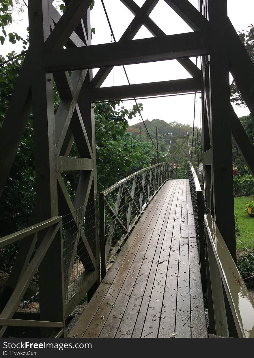 Rainy Day in Spring in Lihue on Kauai Island in Hawaii.