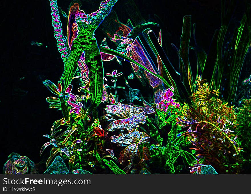 Beautiful camouflaged fish among the sea grass. Underwater photography