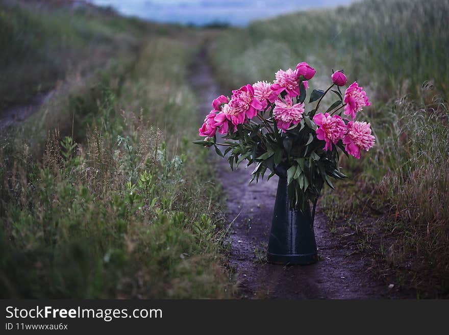 Bouquet of peony. spring mood and still life in the village