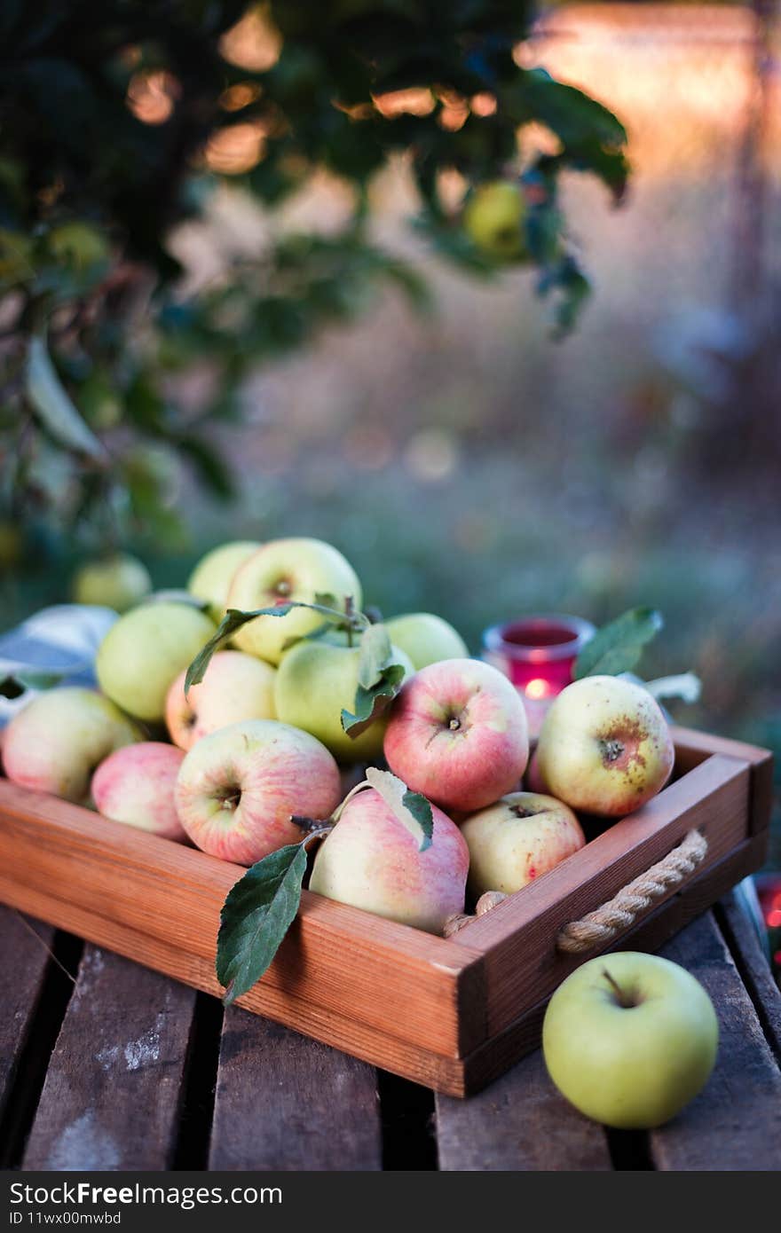 Still life - basket  with juicy apples, cupcake and candles in the garden. atmosphere and mood. Still life - basket  with juicy apples, cupcake and candles in the garden. atmosphere and mood