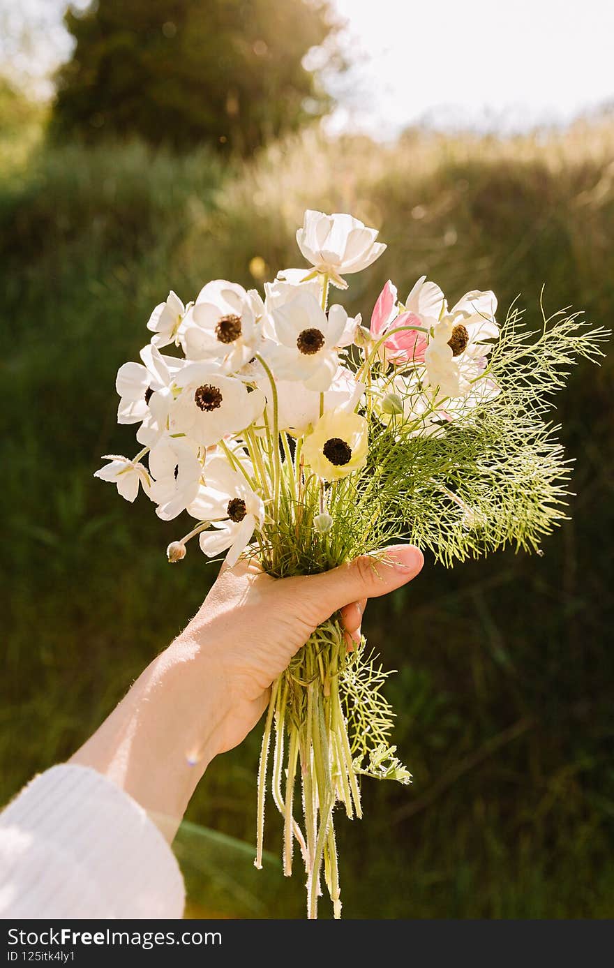 Bouquet of wild flowers in hand. In spring time ar sunset