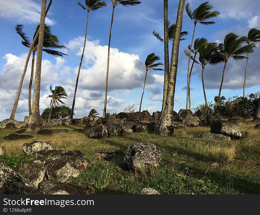 Spring at Hikinaakala Heiau in Wailua on Kauai Island, Hawaii.