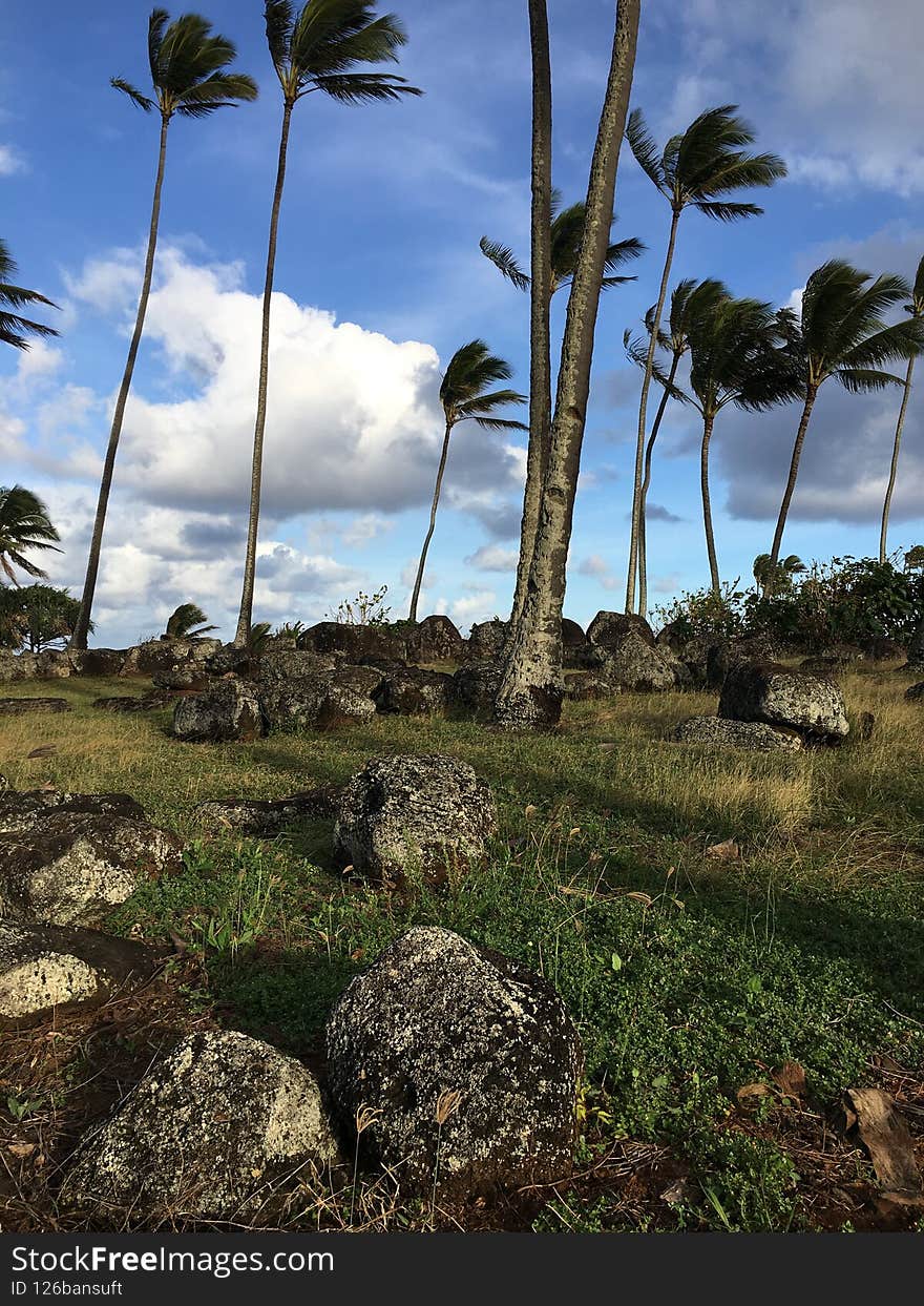 Spring at Hikinaakala Heiau in Wailua on Kauai Island, Hawaii.