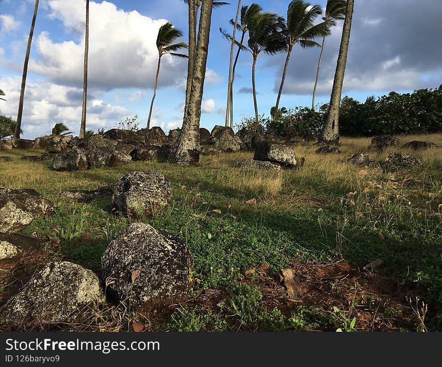 Spring at Hikinaakala Heiau in Wailua on Kauai Island, Hawaii.