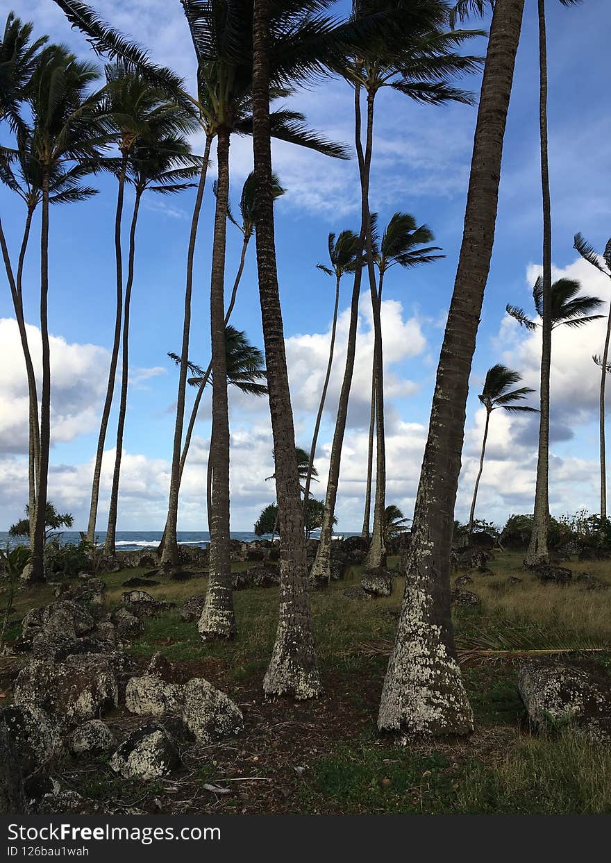 Spring at Hikinaakala Heiau in Wailua on Kauai Island, Hawaii.