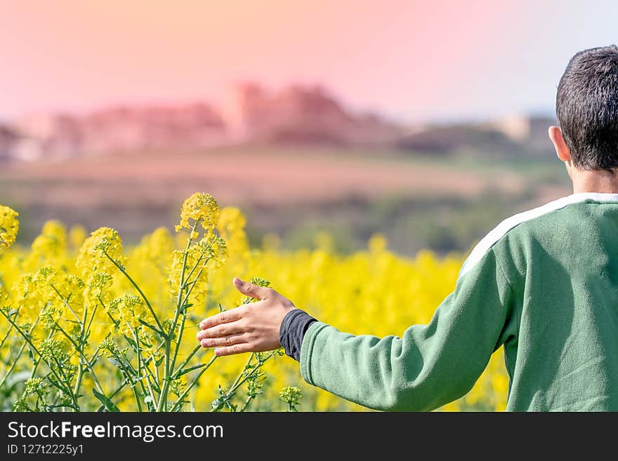 Boy in green sweater with outstretched hand in a yellow field of yellow rapeseed blossoms. Boy in green sweater with outstretched hand in a yellow field of yellow rapeseed blossoms