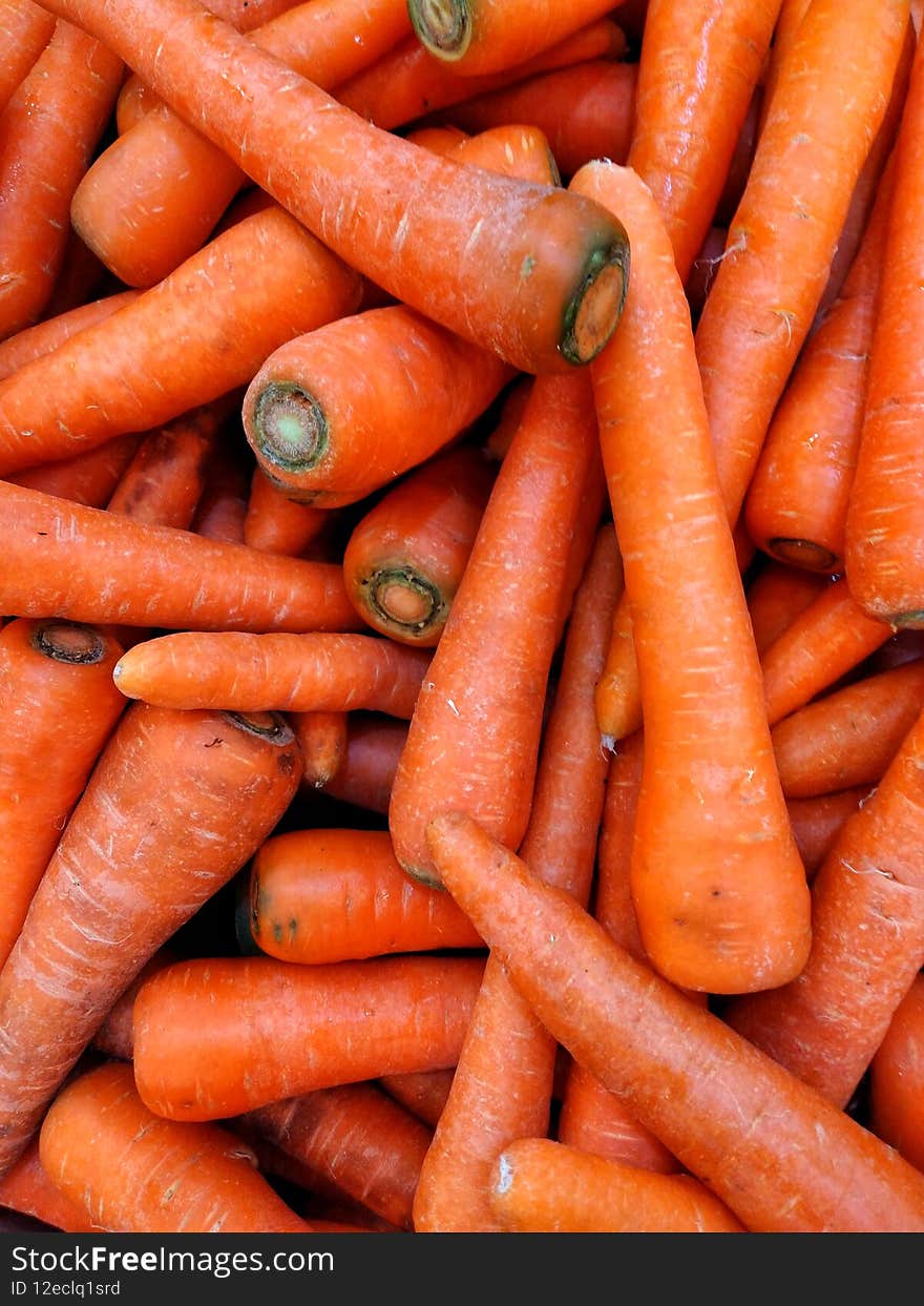 Fresh carrot bunch from garden