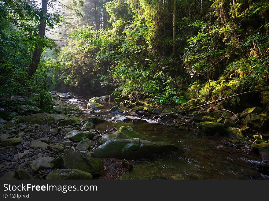Landscape with small mountain river in Western Ukraine, Europe