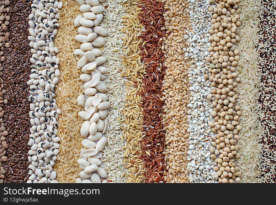 Collection of dry organic white and brown cereal and grain seeds stripe in soft brown tone, for healthy or clean food ingredient concept