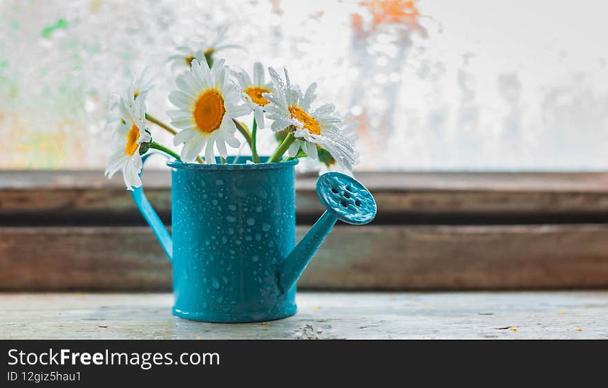 Decorative watering can vase with wildflowers white daisies on the village wet window in the drops after the summer rain