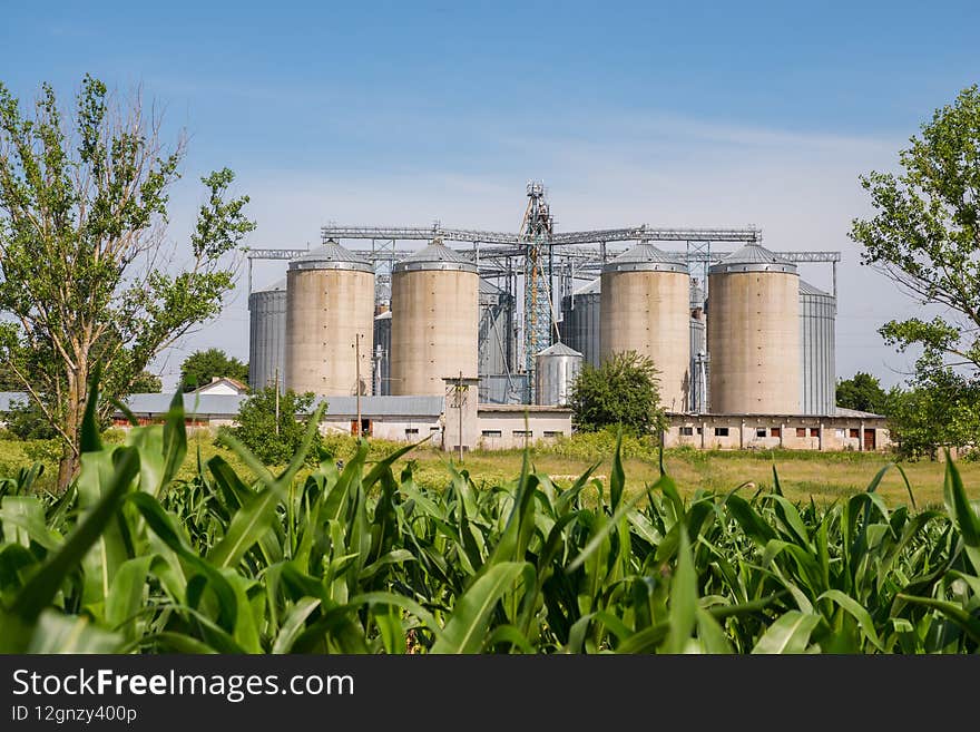 Agricultural silos of concrete and metal.