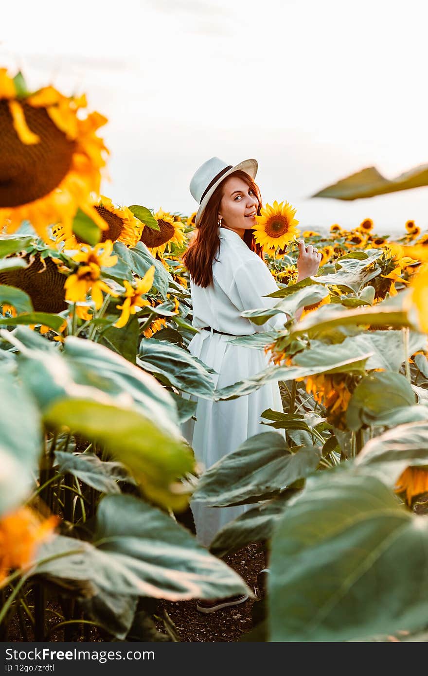 young beautiful woman at sunflowers field on sunset