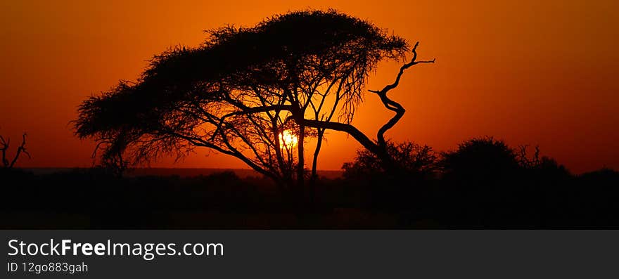Sunset at Kruger park South Africa is one of the largest game reserves in Africa.