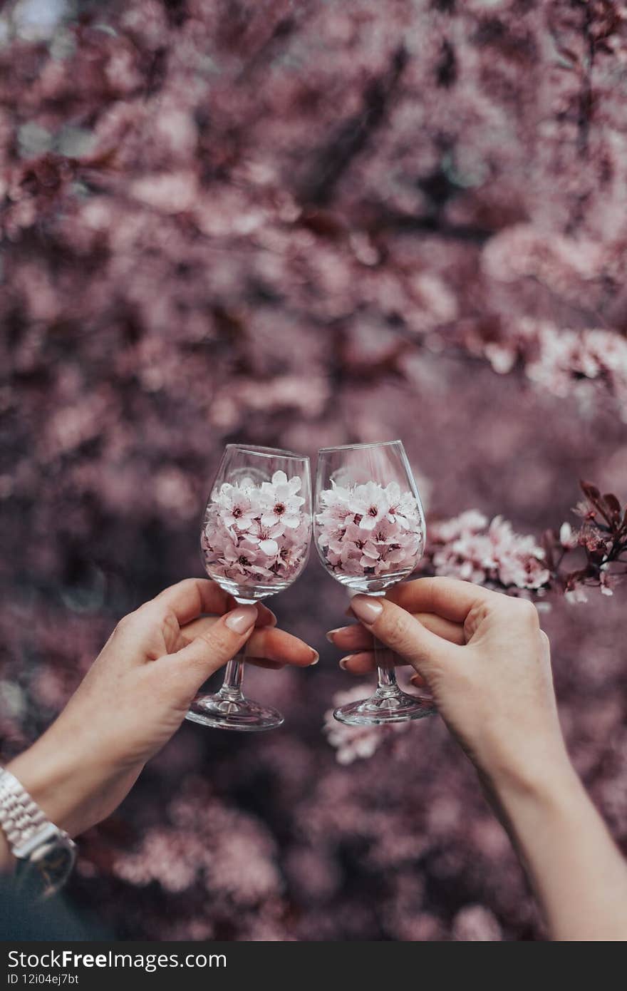 Beautiful woman hands with manicure hold glasses with sakura flowers on the background of a blossoming tree