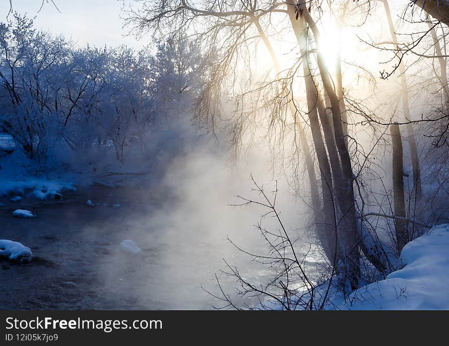 Winter landscape. The sun shines in photo camera. the trees and grass frost. water in the river heavy fog