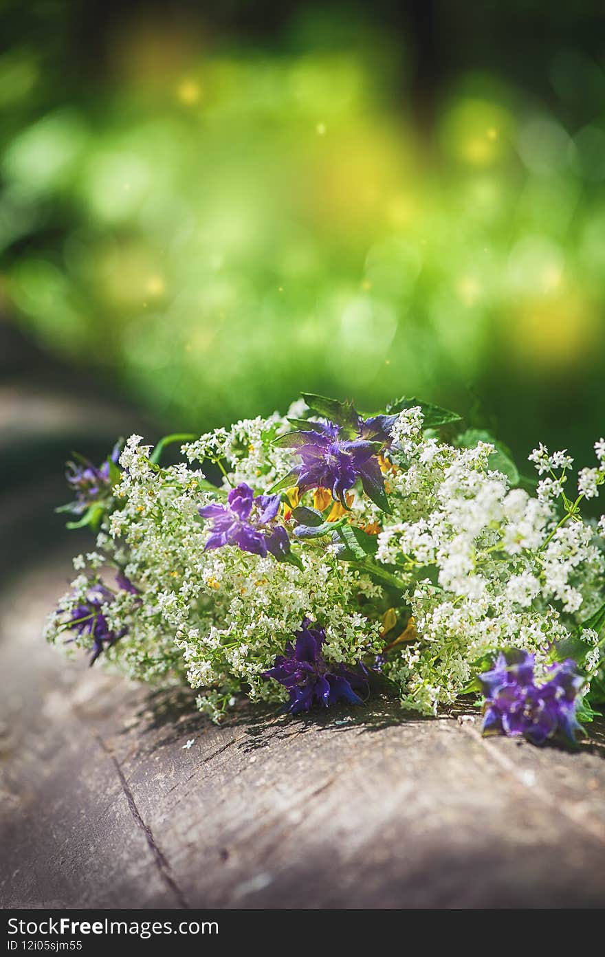 Beautiful summer flowers on blurred natural green background