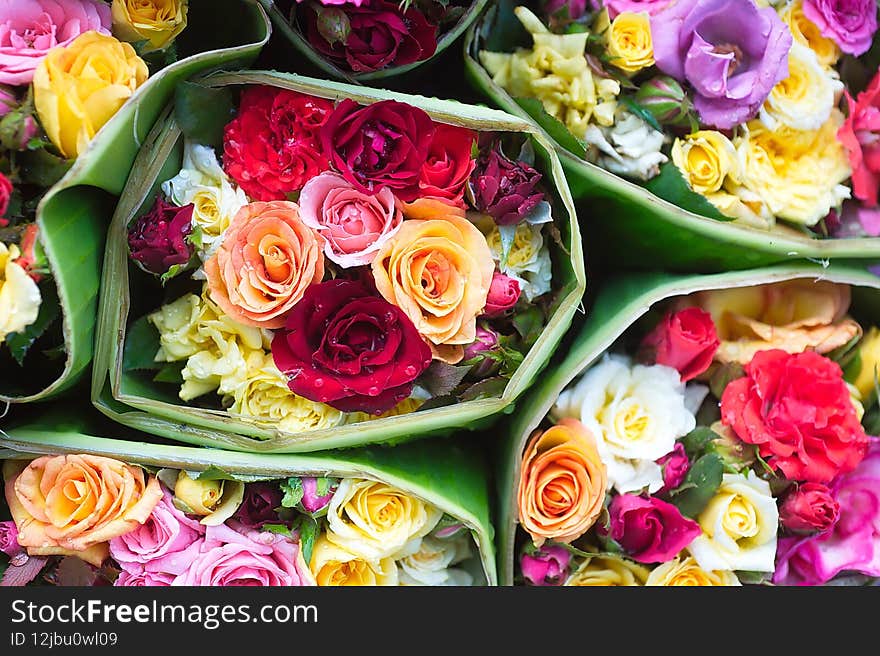 Abstract background of rose flowers. Close-up.