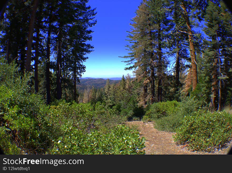 One of the many trails that weave their way through the park, found in Yosemite National park,  located in Central California. One of the many trails that weave their way through the park, found in Yosemite National park,  located in Central California