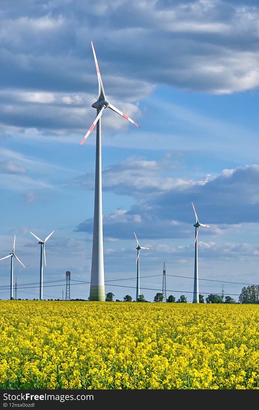 Wind turbines in a flowering canola field