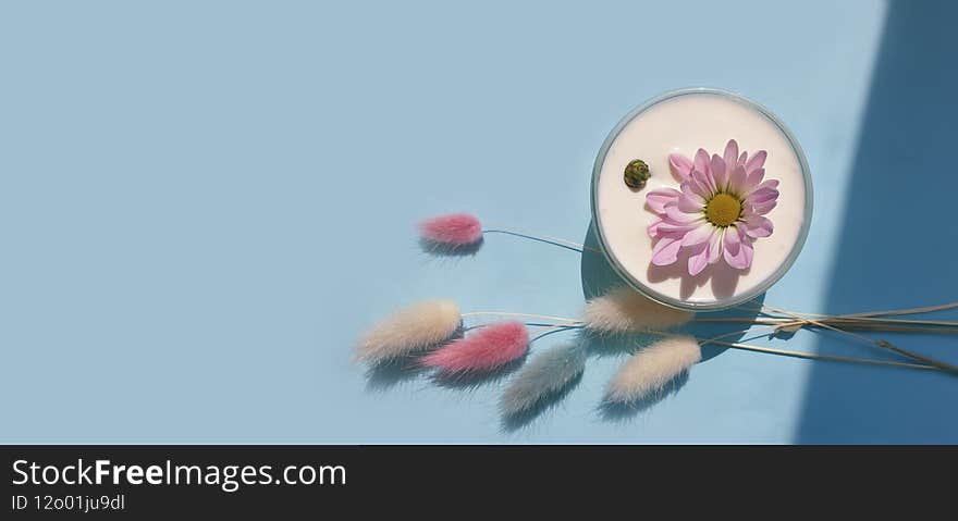 Cream cosmetic flower on colored background   ingredients  natural healthy frame relaxation moisturizing perfection. Cream cosmetic flower on colored background   ingredients  natural healthy frame relaxation moisturizing perfection