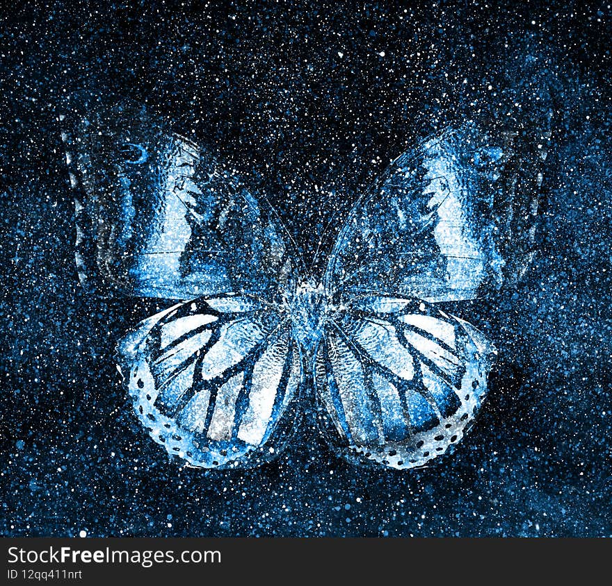 Universe starry sky with butterfly