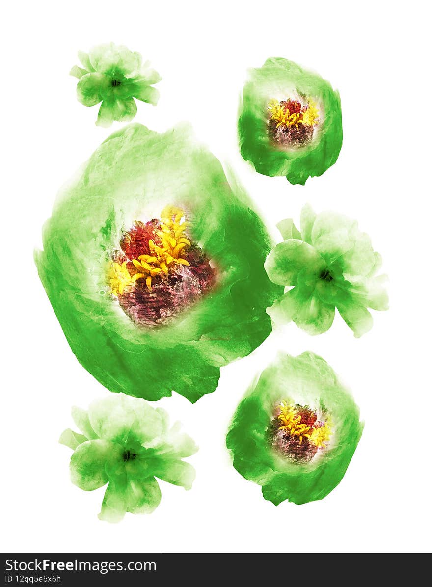 Watercolor flowers as group , isolated on white