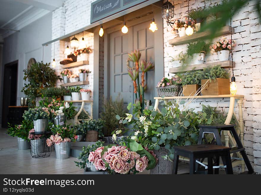 many green flowers on the background of a white brick wall in the interior.