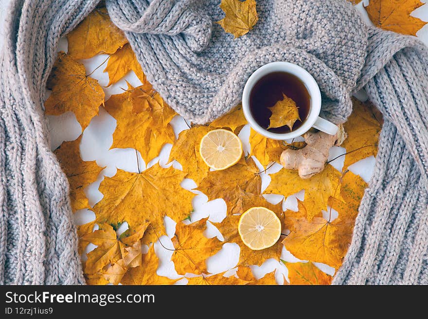Autumn still life with white cup of tea, warming grey scarf and colorful yellow leaves with ginger and lemon. Selective