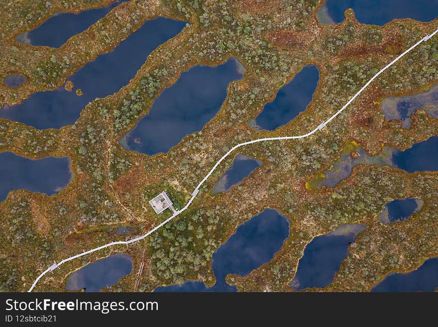 Aerial view of swamp and wooden path in Kemeri national park during sunrise, Latvia