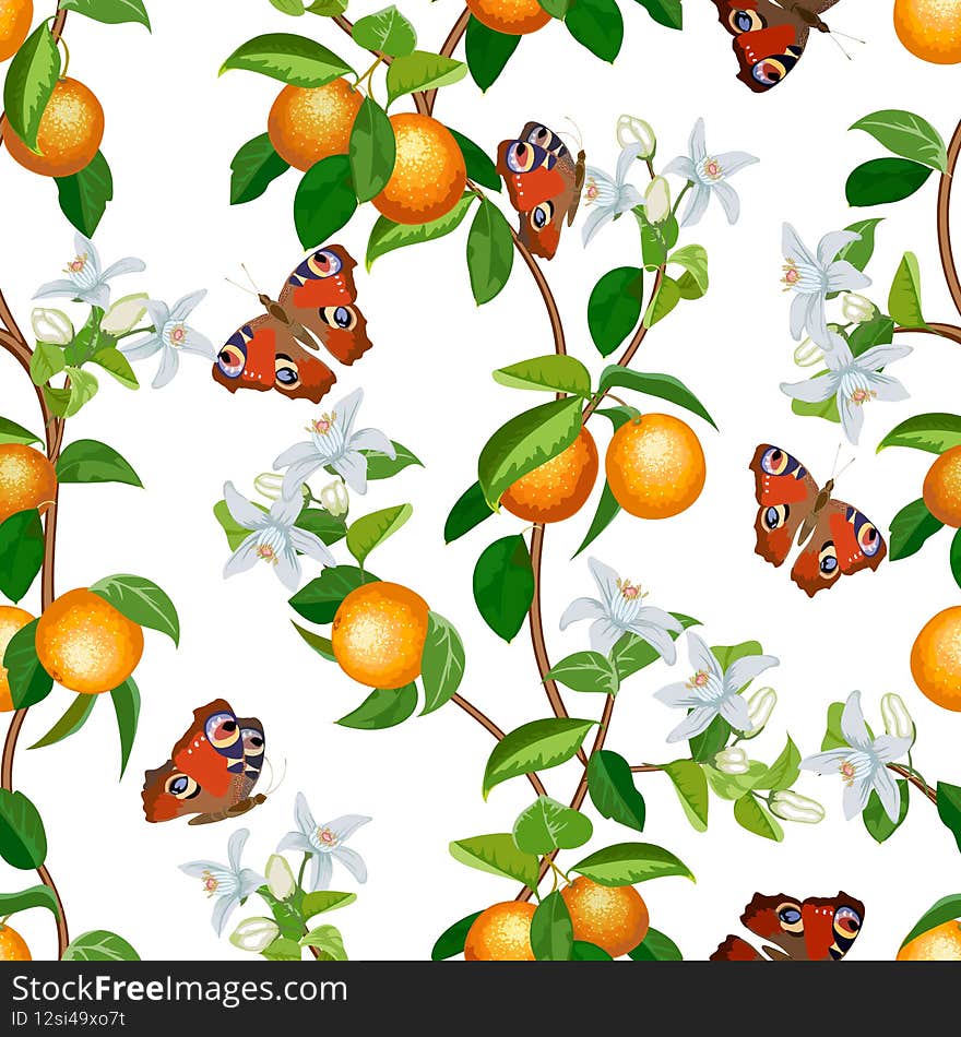 Pattern with oranges and butterflies.Oranges and butterflies on a white background in a vector pattern.