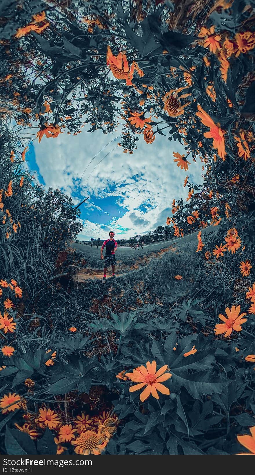 Black man with helmet and glasses riding a bicycle on the road. 360 flowers background concept. Space for text
