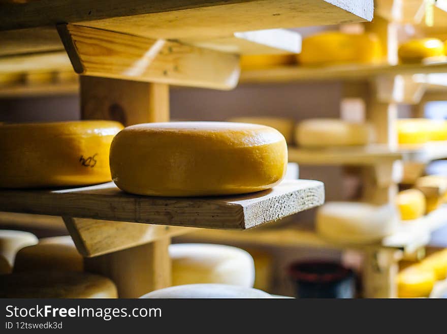 Cheese production. Hard cheeses. Italian style cheese heads on wooden shelves. Defocused. High quality photo