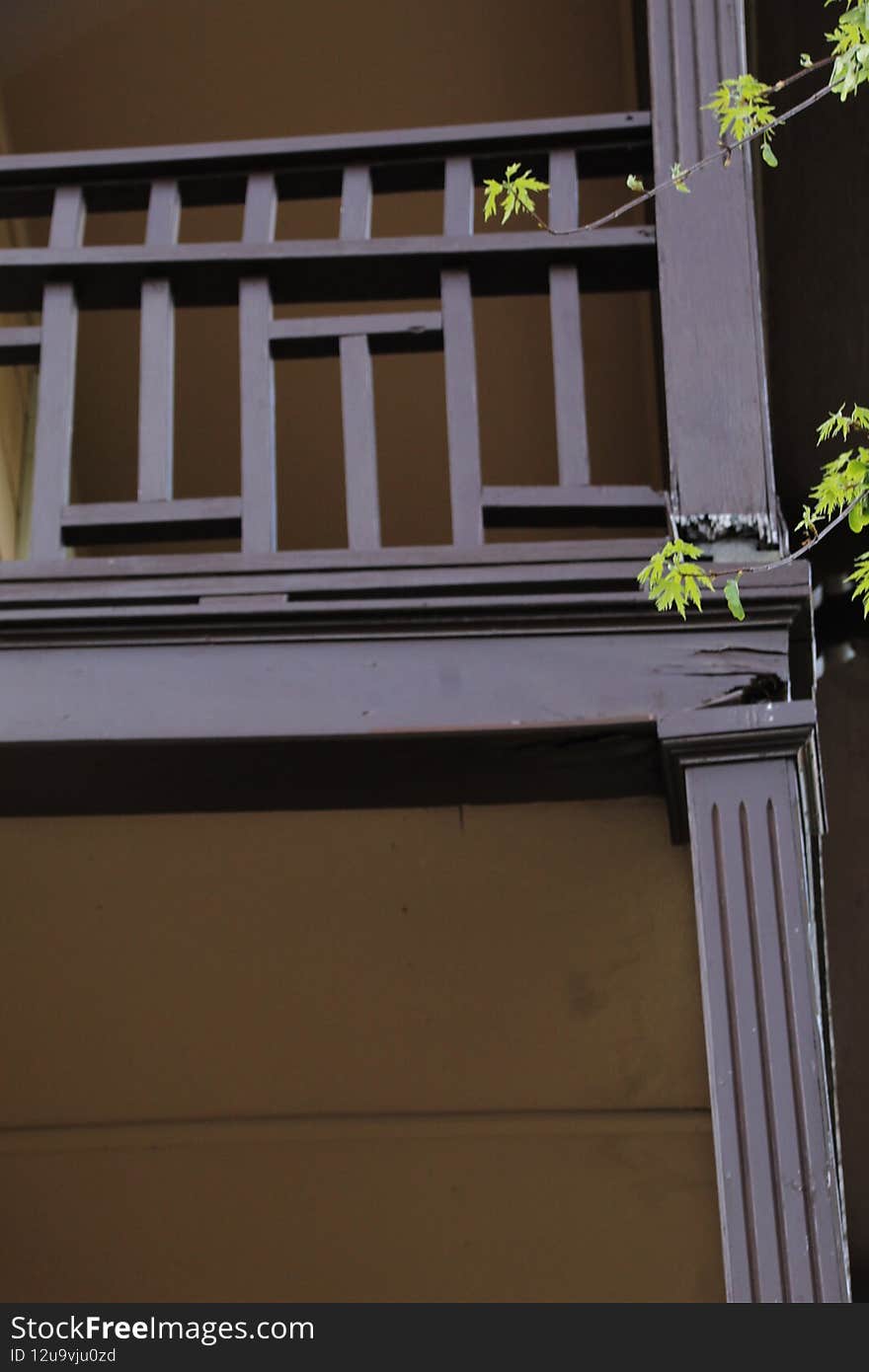 Broken wood railing of porch, birds nest adventure