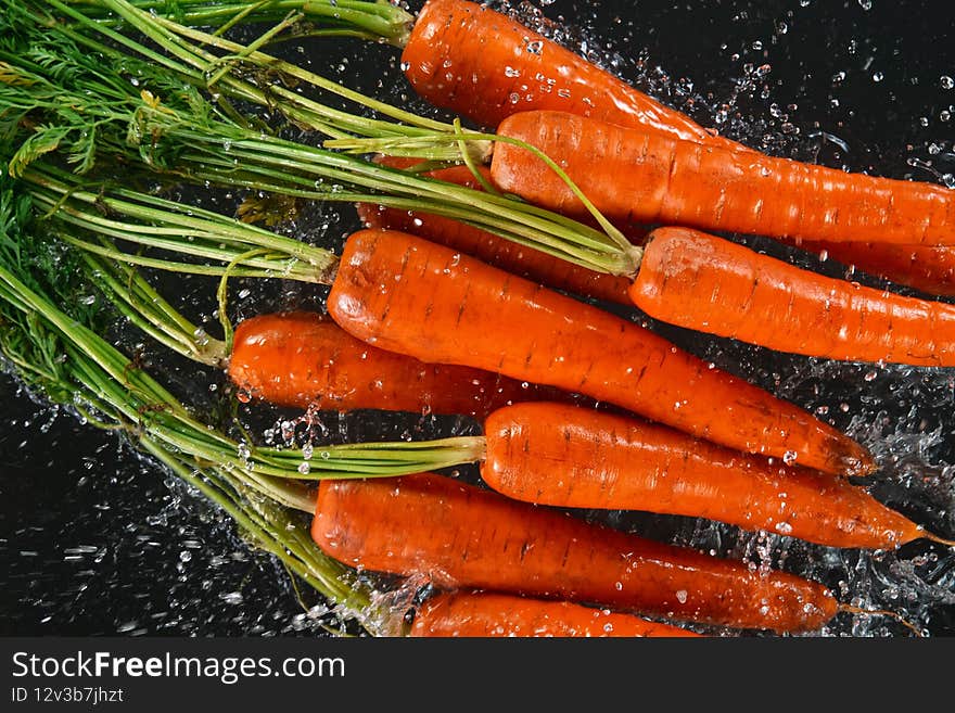 Falling fresh harvested carrots, water splash during impact