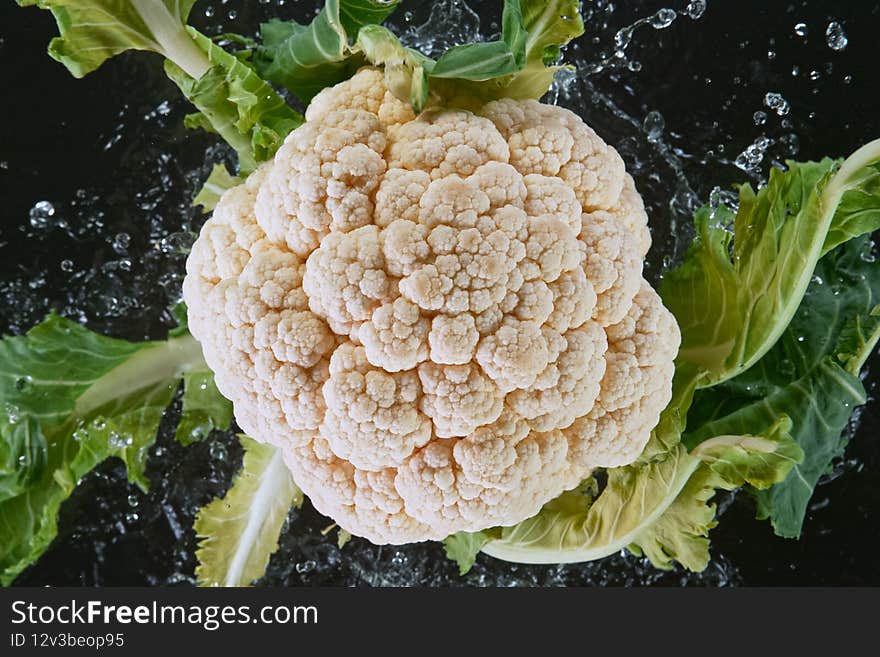 Falling Fresh Harvested Cauliflower, Water Splash During Impact